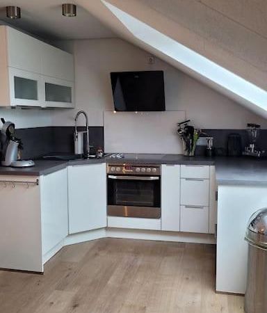 Apartment Schwarzwaldmaedel Friedenweiler Extérieur photo
