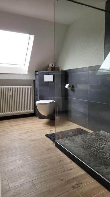 Apartment Schwarzwaldmaedel Friedenweiler Extérieur photo